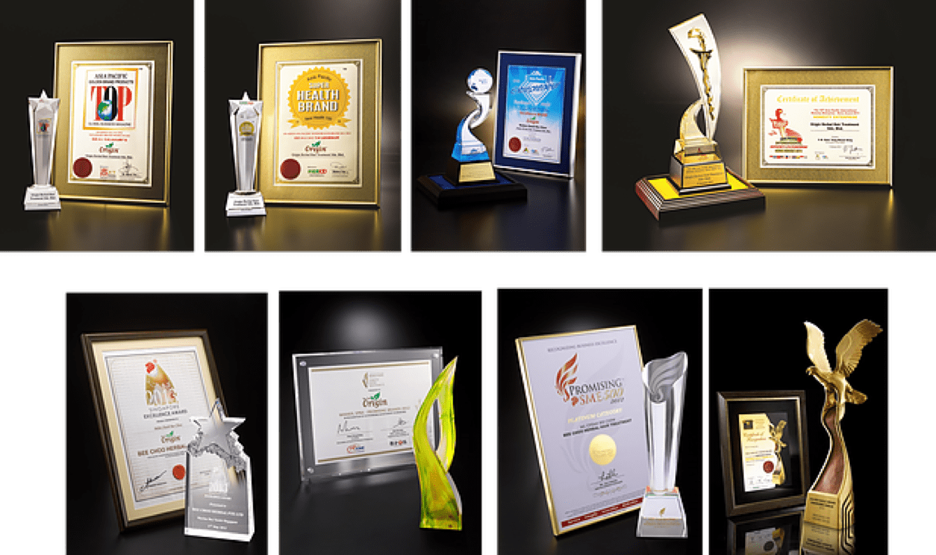 Bee Choo awards and recognition