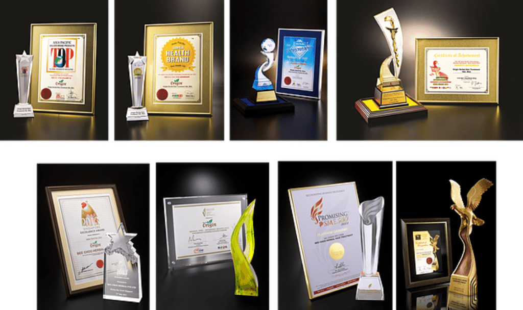 Beechoo recognition and awards