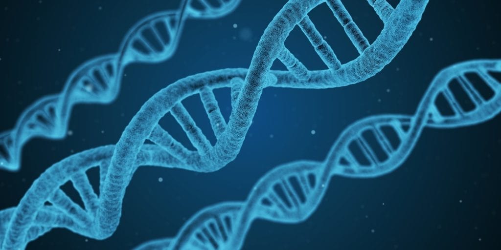 hair loss by genetics