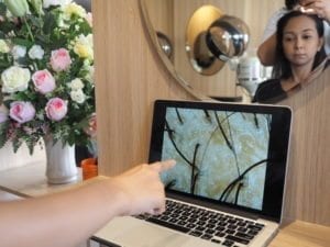 Example of hair scan